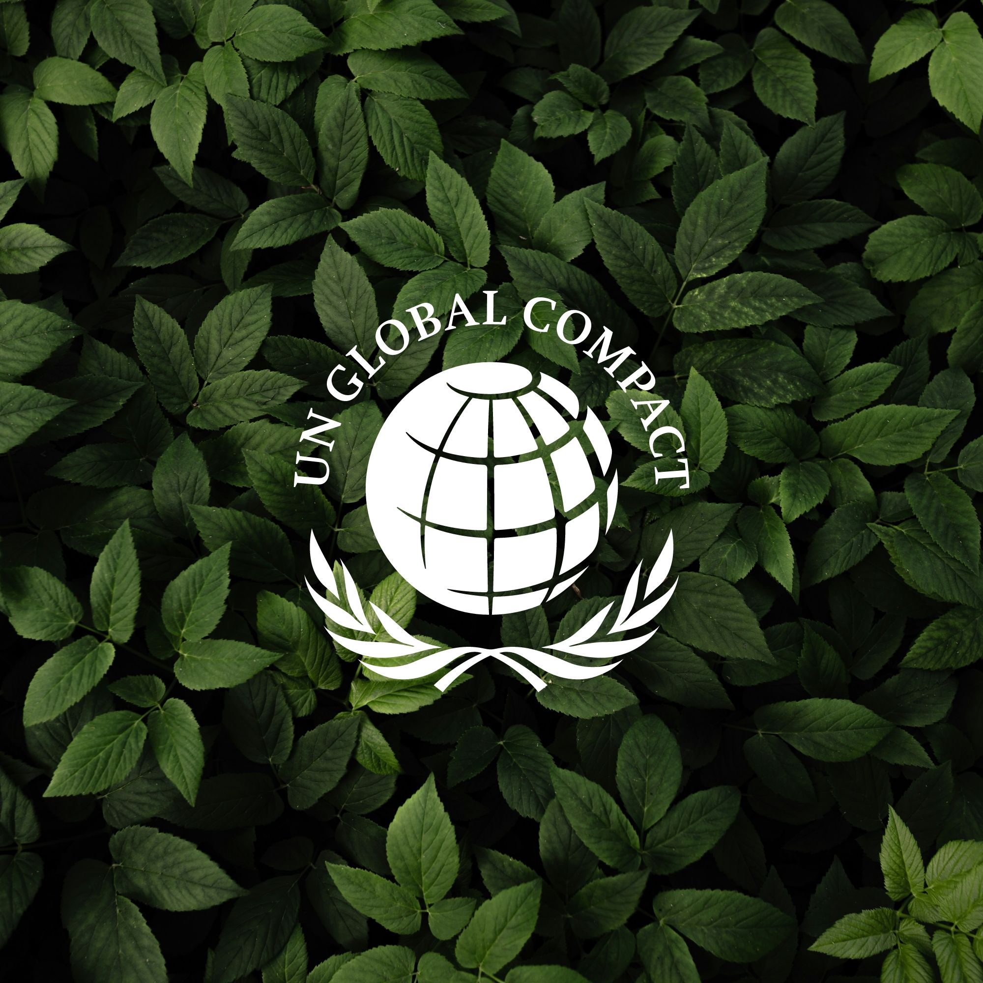 2112 joins the UN Global Compact